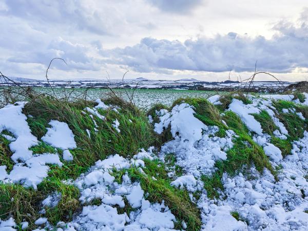 Snow on Bodmin Moor, Roughtor and Brown Willy in background