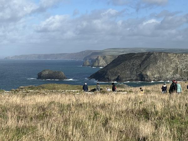 View from Tintagel Castle