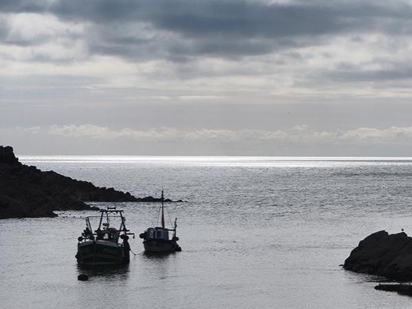 Polperro Harbour in wintry light