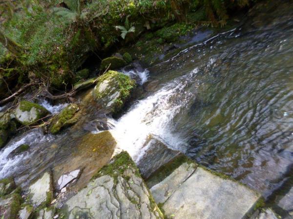 Large slab of rock in river in St Nectan’s Glen