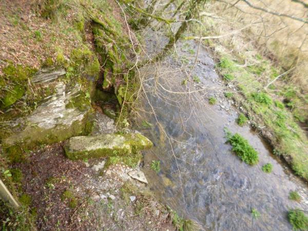 Ogham stone by river Camel at Slaughtersbridge
