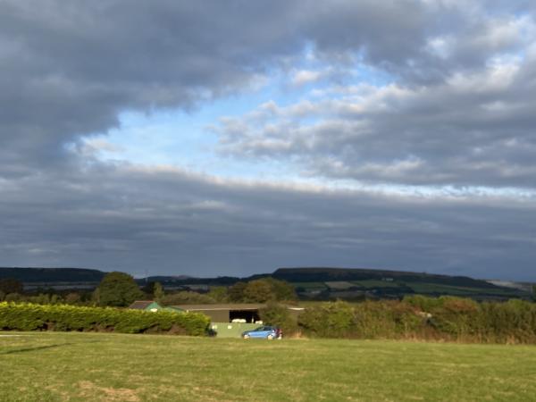 Field and hedge in Summercourt