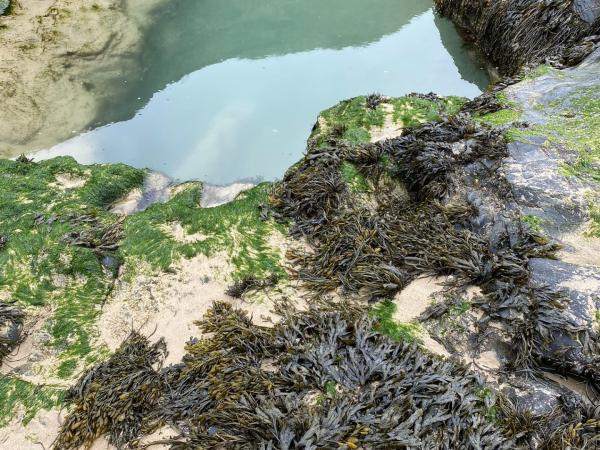 Mermaids rockpool on Perranporth Beach