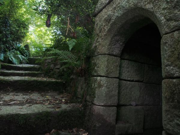 The Well of St Keyne