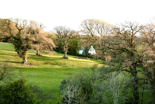 White painted Cornish cottage beyond field