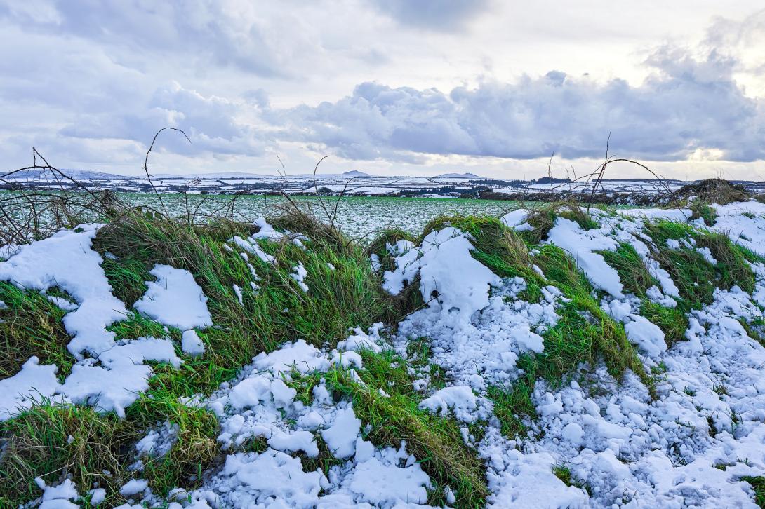 Snow on Bodmin Moor, Roughtor and Brown Willy in background