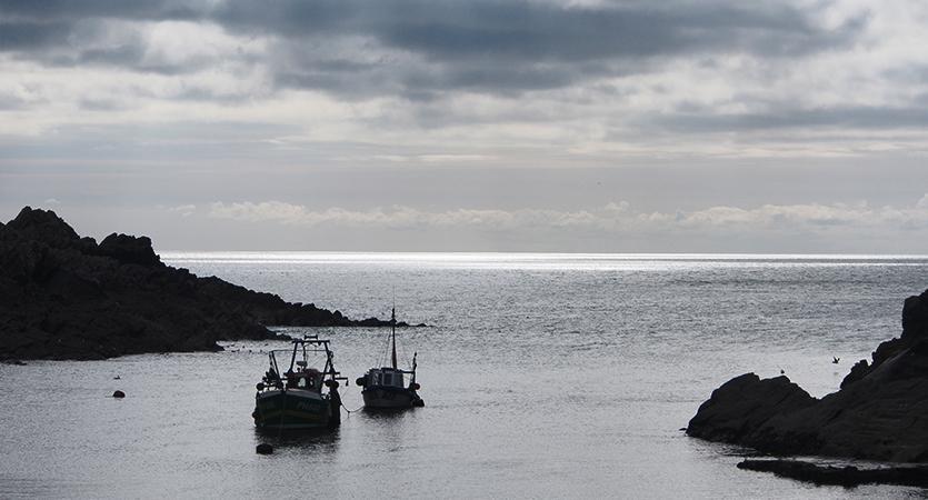 Polperro Harbour in wintry light