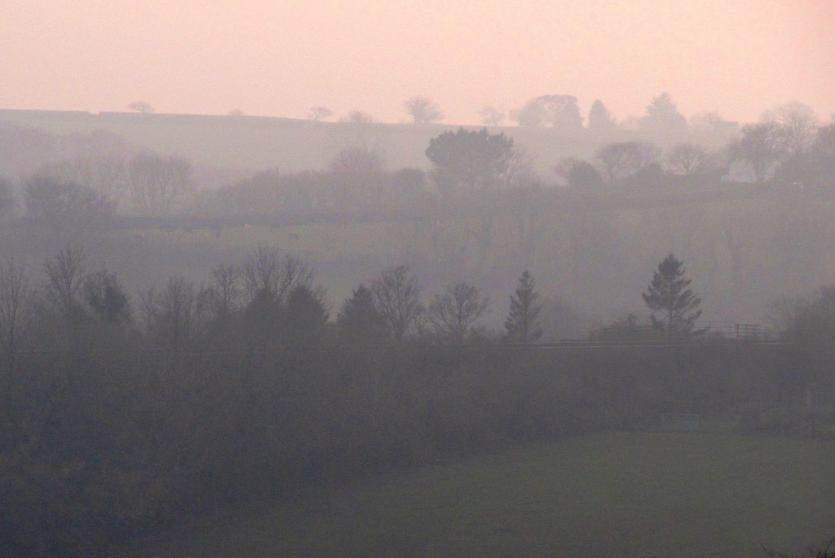 Misty morning fields near Liskeard