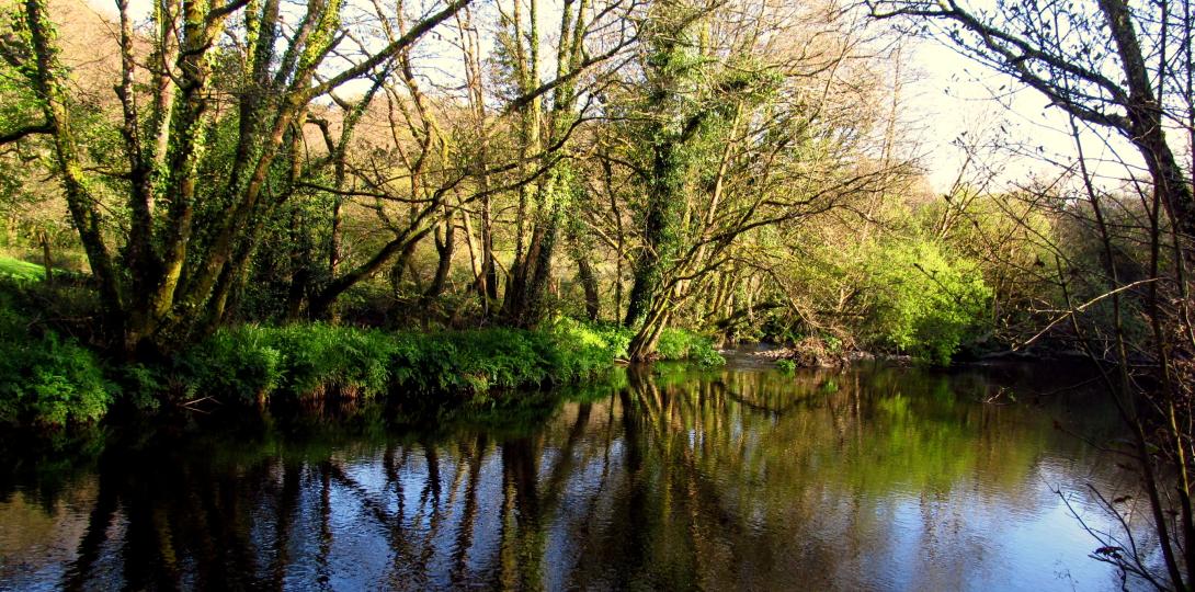 Callington Friends and Ladies