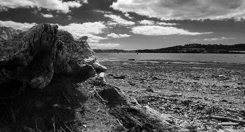 Something twisted at Torpoint