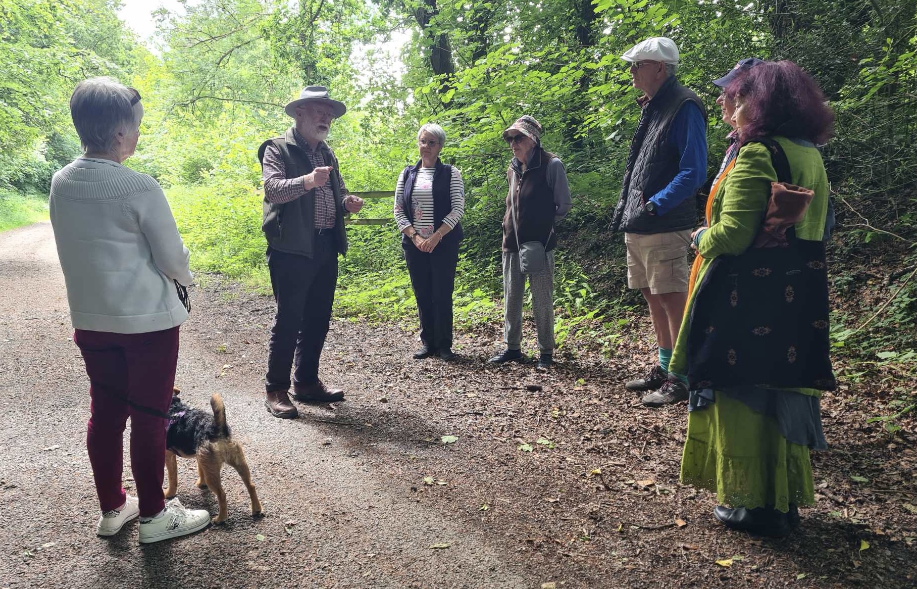 Storytellers in the woods