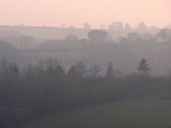 Misty morning fields near Liskeard